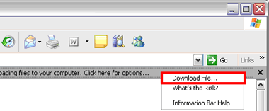 Download File